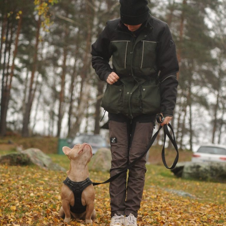 Foto von Unsplash von: - Gabriel Tenan