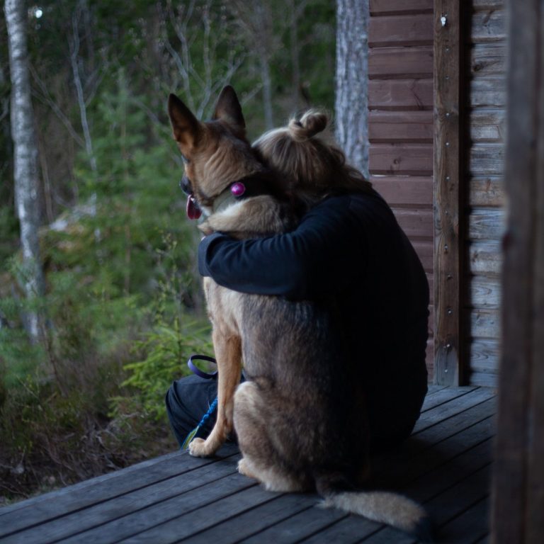 Foto von Unsplash von: - Gabriel Tenan